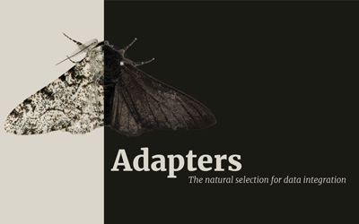 Enstoa Announces Global Release of Adapters