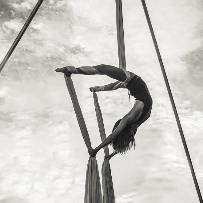 Aerialist