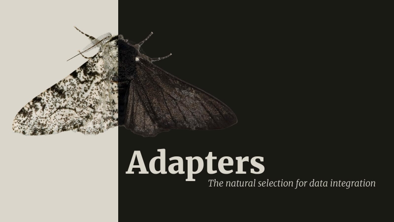 Adapters, a New Data Integration Tool 